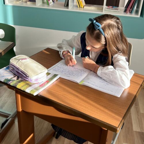 Dahlia after school - sala de activitati scolare